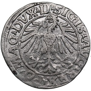 Polish-Lithuanian Commonwealth 1/2 Grosz 1548 - Sigismund II Augustus (1545-1572)