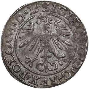 Polish-Lithuanian Commonwealth 1/2 Grosz 1564 - Sigismund II Augustus (1545-1572)