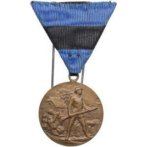 Estonia medal 1920 - In memory of the Estonian War of Independence