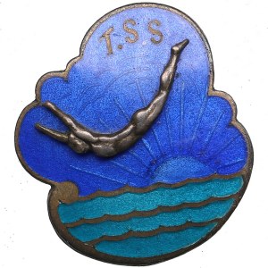 Estonia badge - T.S.S