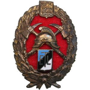 Estonia badge - Estonian Fire Brigade Association