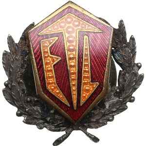 Estonia badge - ETL