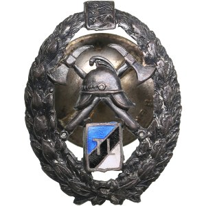Estonia badge - Firefighting
