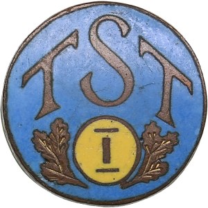 Estonia badge - TST I
