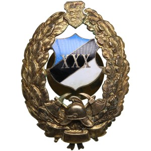 Estonia badge Firefighting - 30 years of service