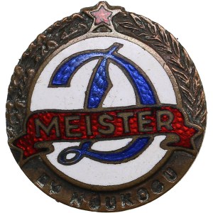 Estonia, Russia USSR badge - Champion Dinamo