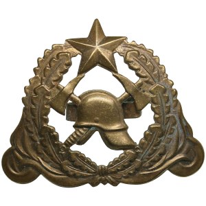 Estonia, Russia USSR badge - Firefighting Hat Badge