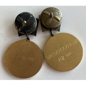 Estonia, Russia USSR badges - Estonian champion (2)