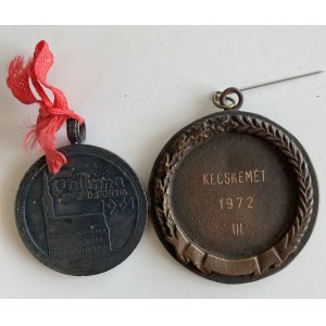 Estonia, Russia USSR & Hungary medal (2)