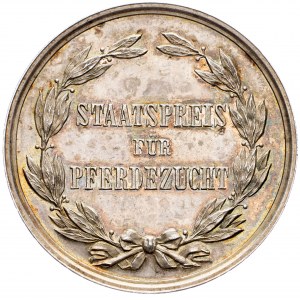 Franz Joseph I., Medal