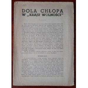 Dola chłopa w „Kraju Wolnośći