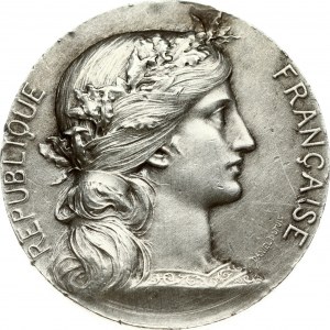 France Medal (1900) Marianne Medal - Daniel Dupuis. Medal offered by the deputy for Bagneux. Silver. Weight 35.88g....