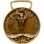 Italy Medal (1915-1918) War for the unification of Italy. Bronze. Weight approx: 16.36 g. Diameter...
