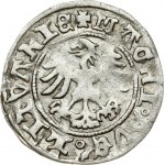 Lithuania 1/2 Grosz ND (1503-1505) Vilnius. Alexander Jagiellon (1492-1506). Obverse: Vytis, legend MON 'o ALEXANDRI o...