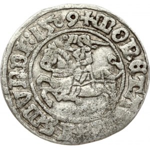 Lithuania 1/2 Grosz 1509 Vilnius. Sigismund I the Old (1506-1548). Obverse: knight with ring, +MONETA: SIGISMVNDI...