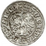 Lithuania 1/2 Grosz 1511 Vilnius. Sigismund I the Old (1506-1548). Double struck at both sides. Silver...