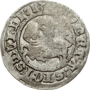 Lithuania 1/2 Grosz 1513 Vilnius. Sigismund I the Old (1506-1548). Obverse: +MONETA:SIGISMVNDI:13 Reverse: +MAGNI:DVCIS...