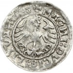 Lithuania 1/2 Grosz 1520 Vilnius. Sigismund I the Old (1506-1548). Obverse: +MOИETA:SIGISMVИDI:15Z0 Reverse: +MAGИI...