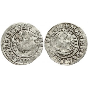 Lithuania 1/2 Grosz 1521 Vilnius. Sigismund I the Old (1506-1548). Obverse: +MONETA:SIGISMVNDI:15Z1: Reverse: +MAGNI...