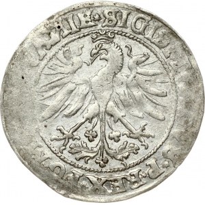 Lithuania 1 Grosz 1535 Vilnius. Sigismund I the Old(1506-1548). Obverse: 6-angle star. Reverse: ...LITVAИ...