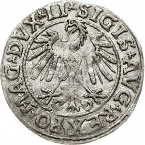 Lithuania 1/2 Grosz 1546 Vilnius. Sigismund II Augustus (1545-1572). Variety with the 5th knight for this year...