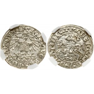 Lithuania 1/2 Grosz 1549 Vilnius. Sigismund II Augustus (1545-1572). Legend ends LI/LITVA. Silver. Cesnulis...