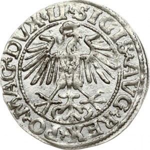 Lithuania 1/2 Grosz 1549 Vilnius. Sigismund II Augustus (1545-1572). Legend ends LI/LITVA. Silver. Cesnulis...