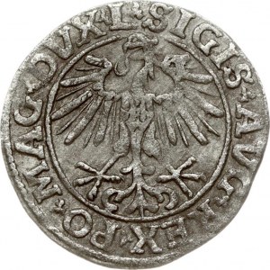 Lithuania 1/2 Grosz 1551 Vilnius. Sigismund II Augustus (1545-1572). Legend ends L/LITVA. Silver. Cesnulis...