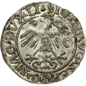 Lithuania 1/2 Grosz 1558 Vilnius. Sigismund II Augustus (1545-1572). Legend ends LI/LITVA. Silver. Cesnulis...