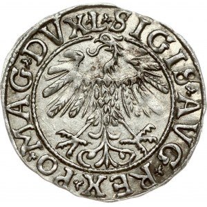 Lithuania 1/2 Grosz 1558 Vilnius. Sigismund II Augustus (1545-1572). Legend ends L/LITVA. Silver. Cesnulis...
