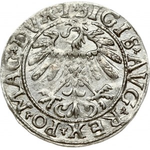 Lithuania 1/2 Grosz 1558 Vilnius. Sigismund II Augustus (1545-1572). Legend ends L/LITV. Silver. Cesnulis...