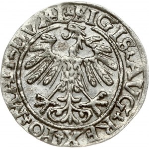 Lithuania 1/2 Grosz 1558/5 Vilnius. Sigismund II Augustus (1545-1572). Legend ends L/LITVA...