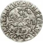 Lithuania 1/2 Grosz 1558/5 Vilnius. Sigismund II Augustus (1545-1572). Legend ends L/LITVA...