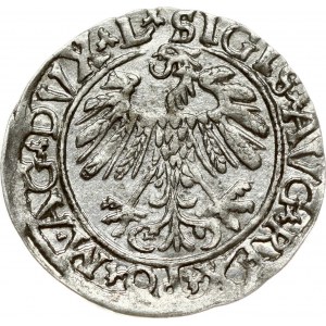 Lithuania 1/2 Grosz 1559 Vilnius. Sigismund II Augustus (1545-1572). Legend ends L/LITVA. Variety with M.AG ...