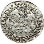 Lithuania 1/2 Grosz 1559 Vilnius. Sigismund II Augustus (1545-1572). Legend ends L/LITVA. Variety with M.AG ...