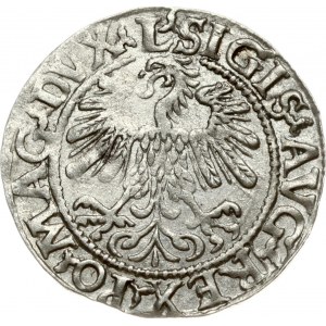 Lithuania 1/2 Grosz 1559 Vilnius. Sigismund II Augustus (1545-1572). Legend ends L/LITV...