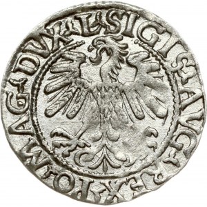 Lithuania 1/2 Grosz 1559 Vilnius. Sigismund II Augustus (1545-1572). Legend ends L/LITV. Dot in G (MAG) on obverse...