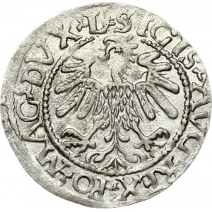 Lithuania 1/2 Grosz 1559 Vilnius. Sigismund II Augustus (1545-1572). Legend ends L/LITV...