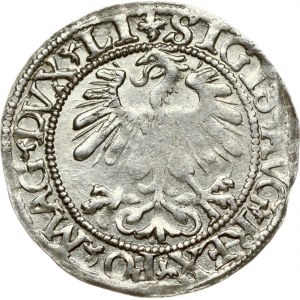 Lithuania 1/2 Grosz 1560 Vilnius. Sigismund II Augustus (1545-1572). Obverse: +SIGIS AVG REX PO MAG DVX LI. Reverse...