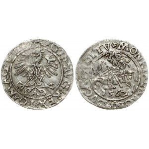 Lithuania 1/2 Grosz 1560 Vilnius. Sigismund II Augustus (1545-1572). Sigismund II Augustus (1545-1572). Obverse...
