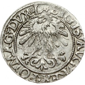 Lithuania 1/2 Grosz 1560 Vilnius. Sigismund II Augustus (1545-1572). Obverse: SIGIS AVG REX PO MAG DVX L* Reverse...