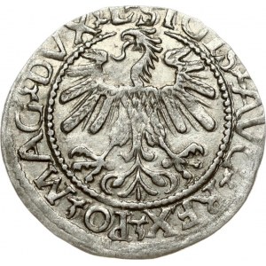 Lithuania 1/2 Grosz 1560 Vilnius. Sigismund II Augustus (1545-1572). Obverse: SIGIS AVG REX PO MAG DVX L Reverse...