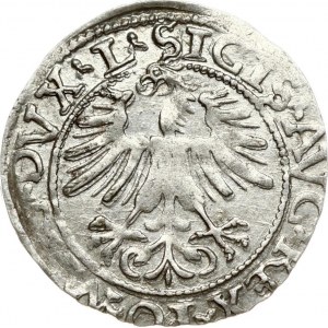 Lithuania 1/2 Grosz 1562 Vilnius. Sigismund II Augustus (1545-1572). Obverse: SIGIS AVG REX PO MAG DVX L Reverse...