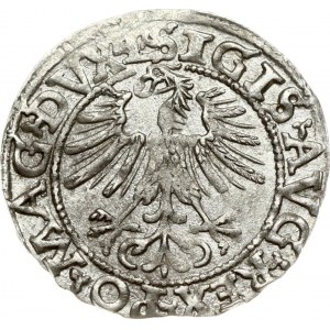 Lithuania 1/2 Grosz 1562 Vilnius. Sigismund II Augustus (1545-1572). Obverse: SIGIS AVG REX PO MAG DVX L Reverse...