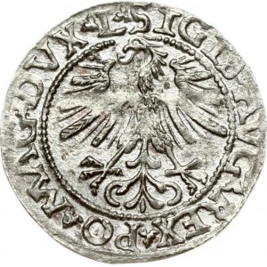 Lithuania 1/2 Grosz 1562 Vilnius. Sigismund II Augustus (1545-1572). Obverse: SIGIS AVG REX PO MAG DVX L Reverse...