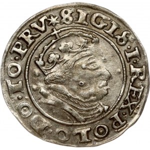 Poland Gdansk 1 Grosz 1540 Sigismund I the Old (1506-1548). Obverse: Crowned bust right. Reverse...