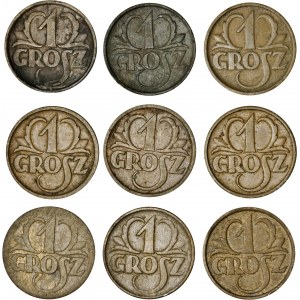 II RP, zestaw 9 monet, 1 gr