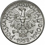 Komplet pób niklowych, 389 sztuk, 1949-1994