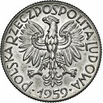 Komplet pób niklowych, 389 sztuk, 1949-1994