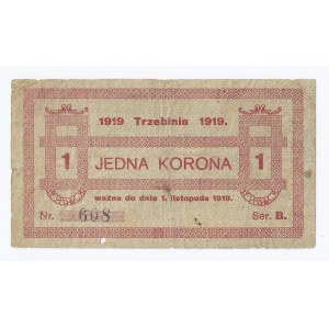 bon Trzebinia, 1 korona, 14.07.1919, seria B, rzadkość (brak notowań aukcyjnych)